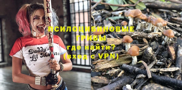 спиды Алзамай