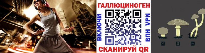 наркошоп  Чусовой  Псилоцибиновые грибы мицелий 