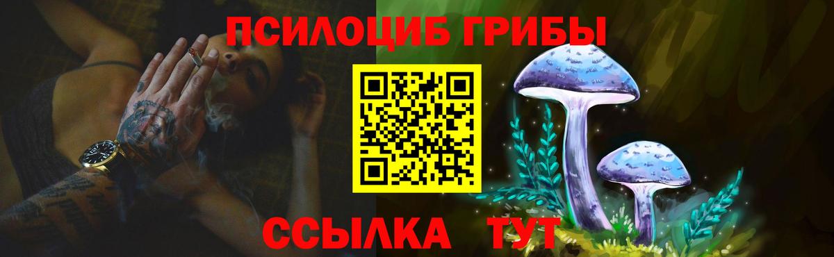 Галлюциногенные грибы Psilocybine cubensis Чусовой